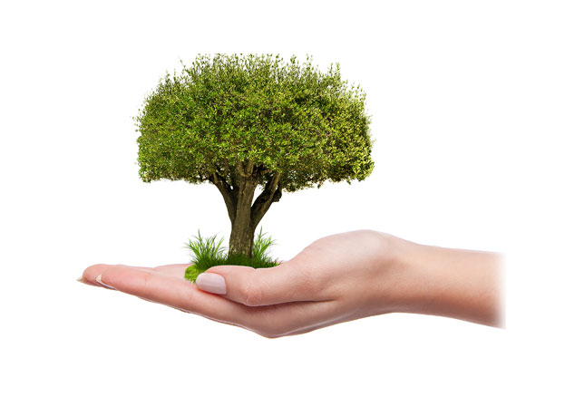 Helping Businesses Grow Image
